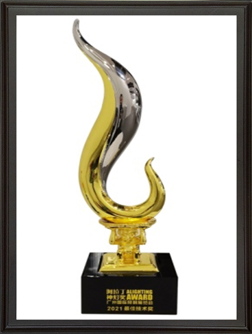 1684478063-神灯奖